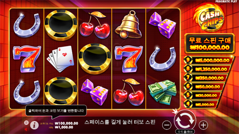 와일드 비치 파티